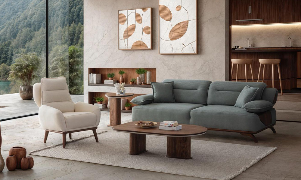 Orion Koltuk Takımı 