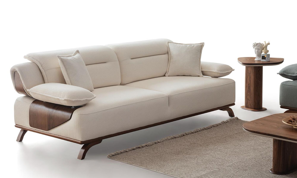 Orion Koltuk Takımı 