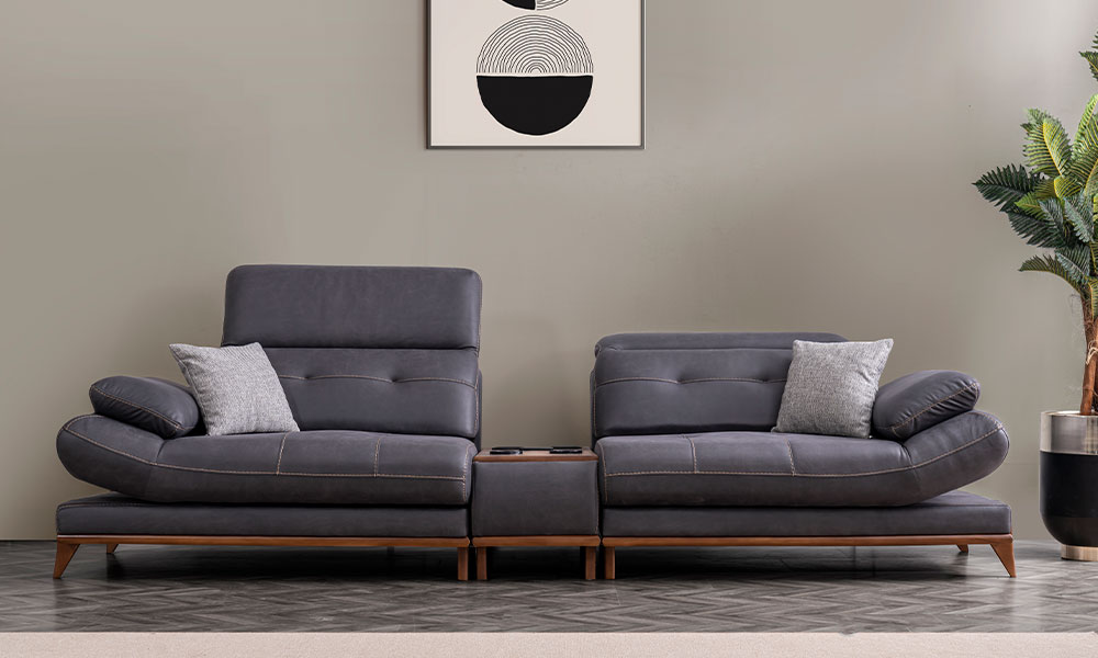 Premium Koltuk Takımı