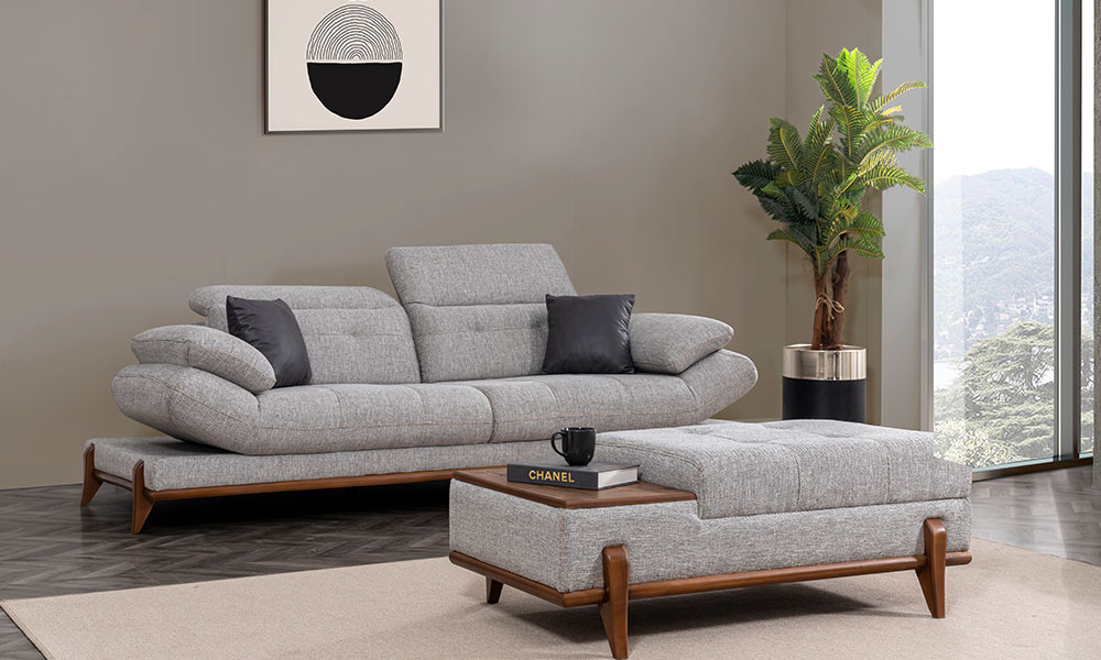 Premium Koltuk Takımı